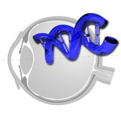 Terapia génica - VERTE Oftalmología Barcelona