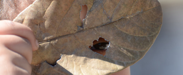 ¿Por qué funciona el parche ocular? - VERTE Oftalmología Barcelona